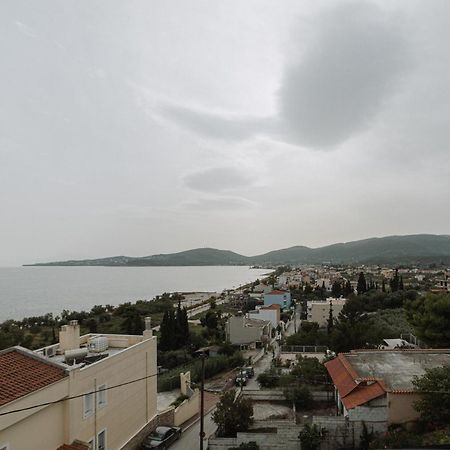 Niki House Apartment Volos Exterior photo